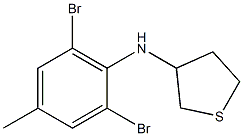 N-(2,6-dibromo-4-methylphenyl)thiolan-3-amine Struktur