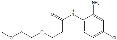 N-(2-amino-4-chlorophenyl)-3-(2-methoxyethoxy)propanamide Struktur