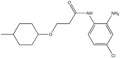 N-(2-amino-4-chlorophenyl)-3-[(4-methylcyclohexyl)oxy]propanamide Struktur