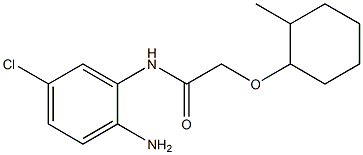 N-(2-amino-5-chlorophenyl)-2-[(2-methylcyclohexyl)oxy]acetamide Struktur