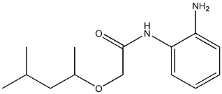 N-(2-aminophenyl)-2-[(4-methylpentan-2-yl)oxy]acetamide Struktur