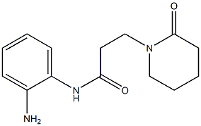 N-(2-aminophenyl)-3-(2-oxopiperidin-1-yl)propanamide Struktur