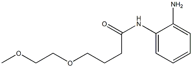 N-(2-aminophenyl)-4-(2-methoxyethoxy)butanamide Struktur