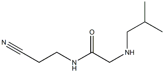 N-(2-cyanoethyl)-2-[(2-methylpropyl)amino]acetamide Struktur