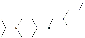 N-(2-methylpentyl)-1-(propan-2-yl)piperidin-4-amine Struktur