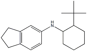 N-(2-tert-butylcyclohexyl)-2,3-dihydro-1H-inden-5-amine Struktur