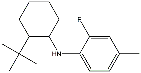 N-(2-tert-butylcyclohexyl)-2-fluoro-4-methylaniline Struktur