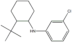 N-(2-tert-butylcyclohexyl)-3-chloroaniline Struktur