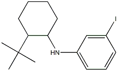 N-(2-tert-butylcyclohexyl)-3-iodoaniline Struktur