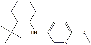 N-(2-tert-butylcyclohexyl)-6-methoxypyridin-3-amine Struktur