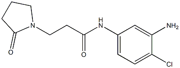 N-(3-amino-4-chlorophenyl)-3-(2-oxopyrrolidin-1-yl)propanamide Struktur