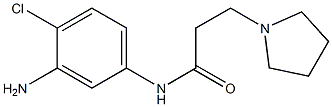 N-(3-amino-4-chlorophenyl)-3-pyrrolidin-1-ylpropanamide Struktur