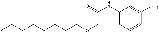 N-(3-aminophenyl)-2-(octyloxy)acetamide Struktur