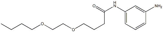 N-(3-aminophenyl)-4-(2-butoxyethoxy)butanamide Struktur