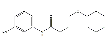 N-(3-aminophenyl)-4-[(2-methylcyclohexyl)oxy]butanamide Struktur