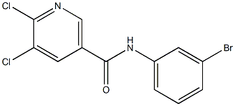 N-(3-bromophenyl)-5,6-dichloronicotinamide Struktur