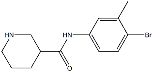 N-(4-bromo-3-methylphenyl)piperidine-3-carboxamide Struktur