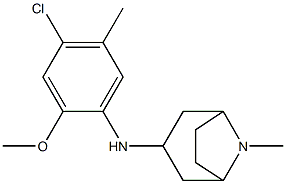 N-(4-chloro-2-methoxy-5-methylphenyl)-8-methyl-8-azabicyclo[3.2.1]octan-3-amine Struktur