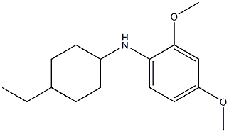 N-(4-ethylcyclohexyl)-2,4-dimethoxyaniline Struktur