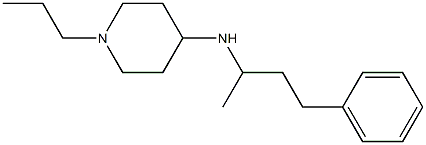 N-(4-phenylbutan-2-yl)-1-propylpiperidin-4-amine Struktur