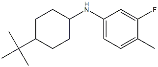 N-(4-tert-butylcyclohexyl)-3-fluoro-4-methylaniline Struktur