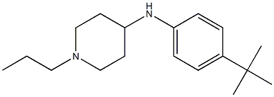 N-(4-tert-butylphenyl)-1-propylpiperidin-4-amine Struktur