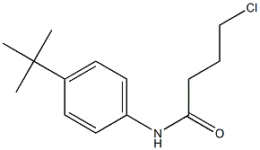 N-(4-tert-butylphenyl)-4-chlorobutanamide Struktur