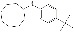 N-(4-tert-butylphenyl)cyclooctanamine Struktur