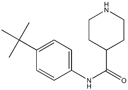 N-(4-tert-butylphenyl)piperidine-4-carboxamide Struktur