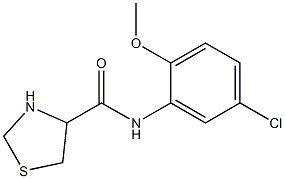 N-(5-chloro-2-methoxyphenyl)-1,3-thiazolidine-4-carboxamide Struktur