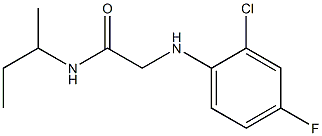 N-(butan-2-yl)-2-[(2-chloro-4-fluorophenyl)amino]acetamide Struktur