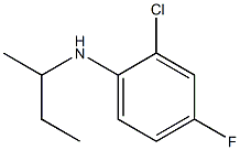 N-(butan-2-yl)-2-chloro-4-fluoroaniline Struktur