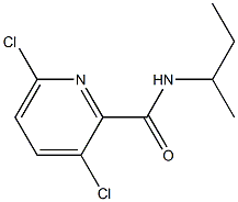 N-(butan-2-yl)-3,6-dichloropyridine-2-carboxamide Struktur