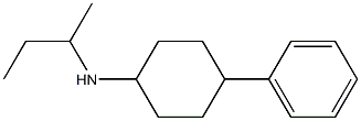 N-(butan-2-yl)-4-phenylcyclohexan-1-amine Struktur