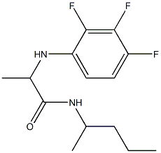 N-(pentan-2-yl)-2-[(2,3,4-trifluorophenyl)amino]propanamide Struktur