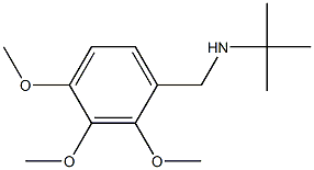 N-(tert-butyl)-N-(2,3,4-trimethoxybenzyl)amine Struktur