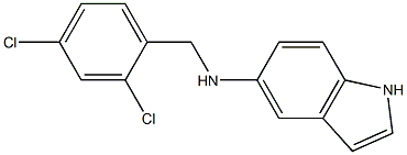 N-[(2,4-dichlorophenyl)methyl]-1H-indol-5-amine Struktur