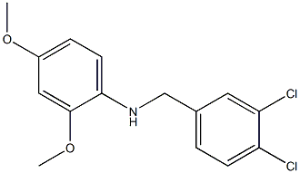 N-[(3,4-dichlorophenyl)methyl]-2,4-dimethoxyaniline Struktur