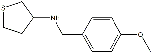 N-[(4-methoxyphenyl)methyl]thiolan-3-amine Struktur