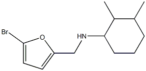 N-[(5-bromofuran-2-yl)methyl]-2,3-dimethylcyclohexan-1-amine Struktur