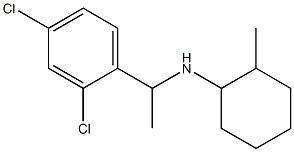 N-[1-(2,4-dichlorophenyl)ethyl]-2-methylcyclohexan-1-amine Struktur