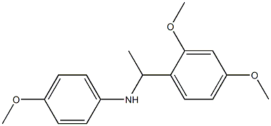 N-[1-(2,4-dimethoxyphenyl)ethyl]-4-methoxyaniline Struktur