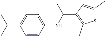 N-[1-(2,5-dimethylthiophen-3-yl)ethyl]-4-(propan-2-yl)aniline Struktur