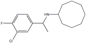 N-[1-(3-chloro-4-fluorophenyl)ethyl]cyclooctanamine Struktur