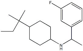 N-[1-(3-fluorophenyl)ethyl]-4-(2-methylbutan-2-yl)cyclohexan-1-amine Struktur