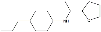 N-[1-(oxolan-2-yl)ethyl]-4-propylcyclohexan-1-amine Struktur