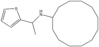 N-[1-(thiophen-2-yl)ethyl]cyclododecanamine Struktur