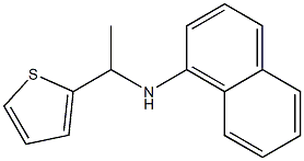 N-[1-(thiophen-2-yl)ethyl]naphthalen-1-amine Struktur