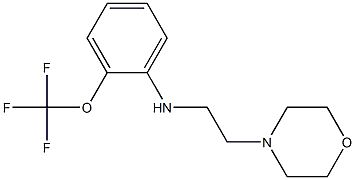 N-[2-(morpholin-4-yl)ethyl]-2-(trifluoromethoxy)aniline Struktur