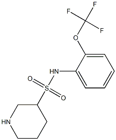 N-[2-(trifluoromethoxy)phenyl]piperidine-3-sulfonamide Struktur